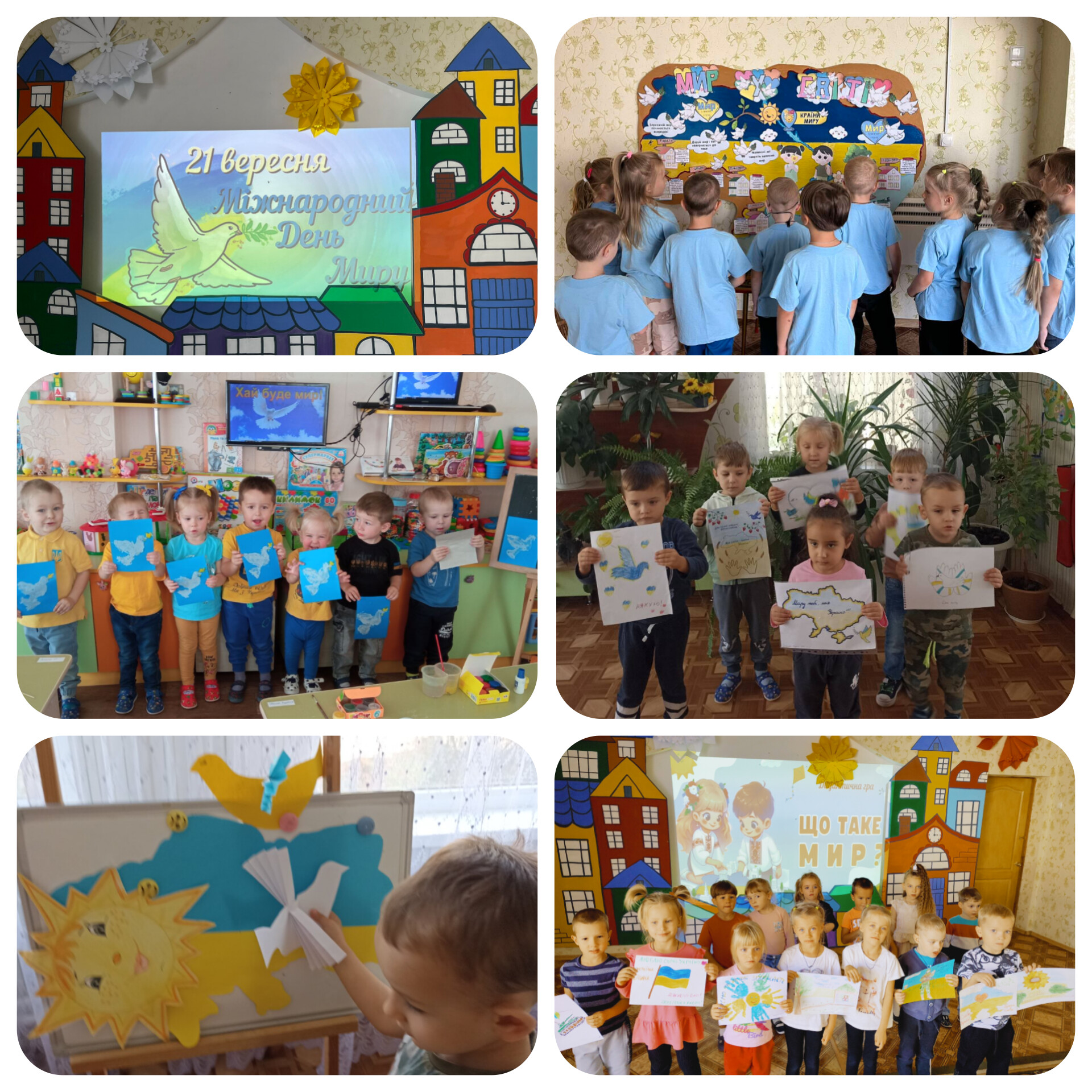 InShot_20241001_102754214